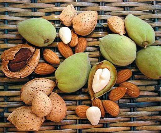 Ventajas de las almendras